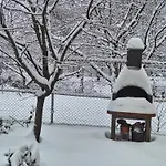 Tiny Cabin