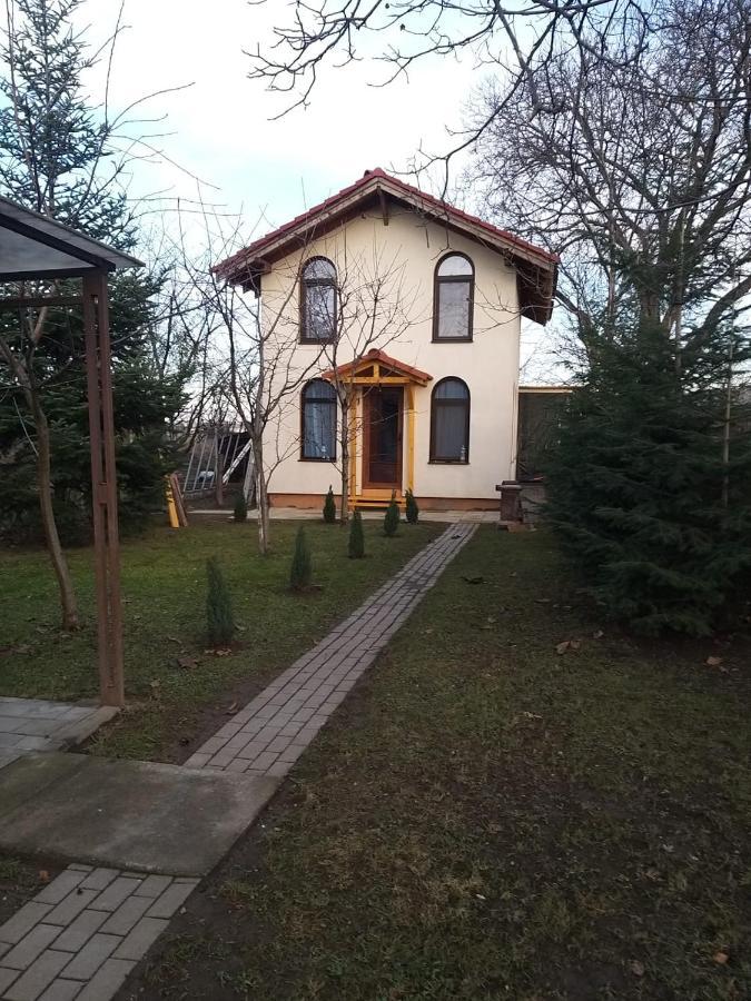 Tiny * Brasov