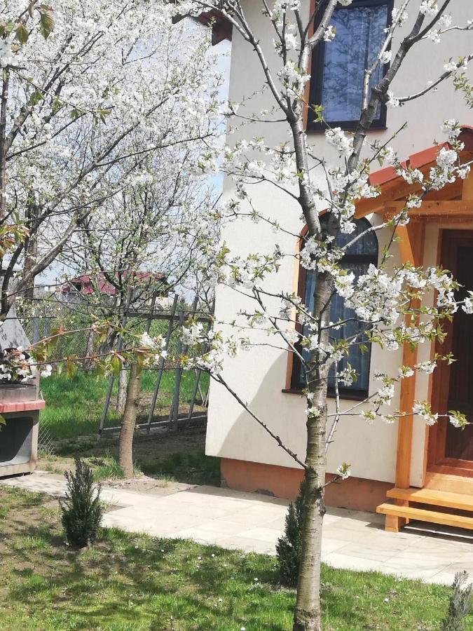 Tiny Brasov